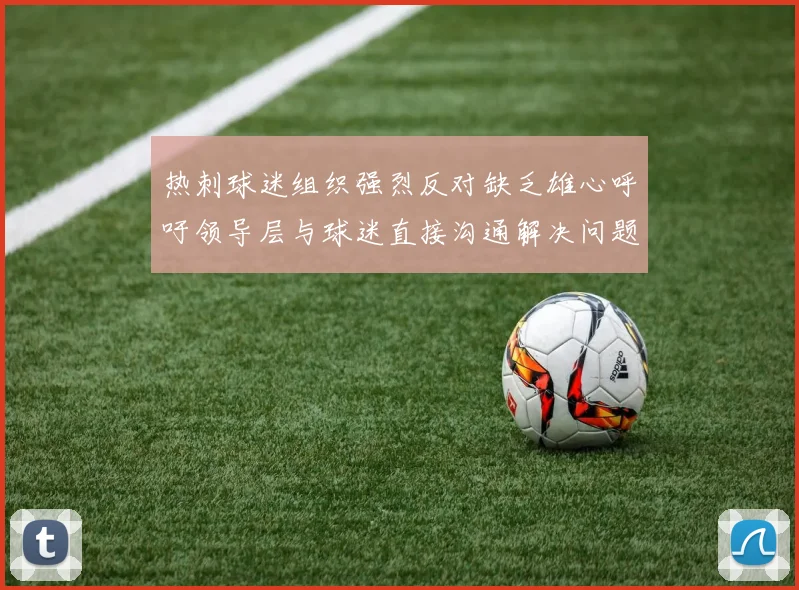 热刺球迷组织强烈反对缺乏雄心呼吁领导层与球迷直接沟通解决问题