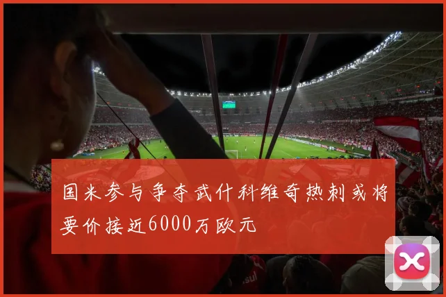 国米参与争夺武什科维奇热刺或将要价接近6000万欧元